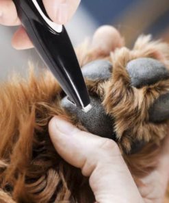 Low Noise Electric Pet Grooming Trimmer