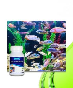 Aqua Life Algae Growth Purifier