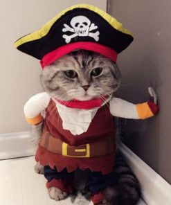Funny Cat Costumes
