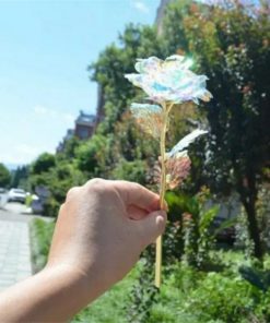 Galaxy Everlasting Rose