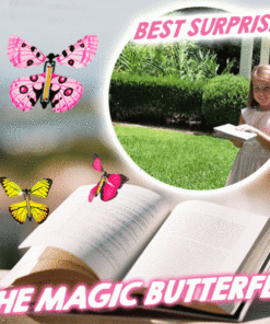 The Magic Butterfly ( Valentine’s Day Special )