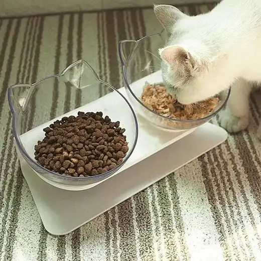 Anti-Vomiting Orthopedic Cat Bowl - Image 4