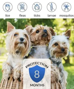 Alternative view of Anti Flea and Tick Collar
