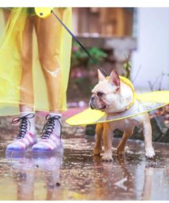 Puppy UFO Raincoat