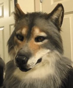 Wolf Headwear Costume Mask