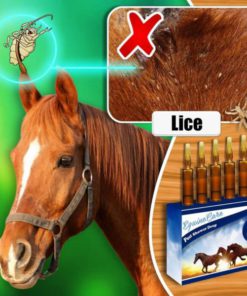 PestAway Equine Shower Drop