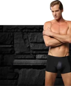 Alternative view of LISTENTOWIND Men’s Ice Silk Breathable Underwear