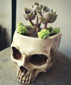 Gothic Skull Head Planter Container