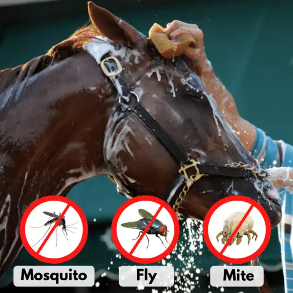 PestAway Equine Shower Drop - Image 4