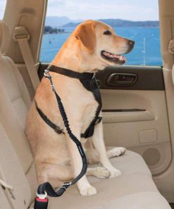 Direct to Seatbelt Dog Collar Tether