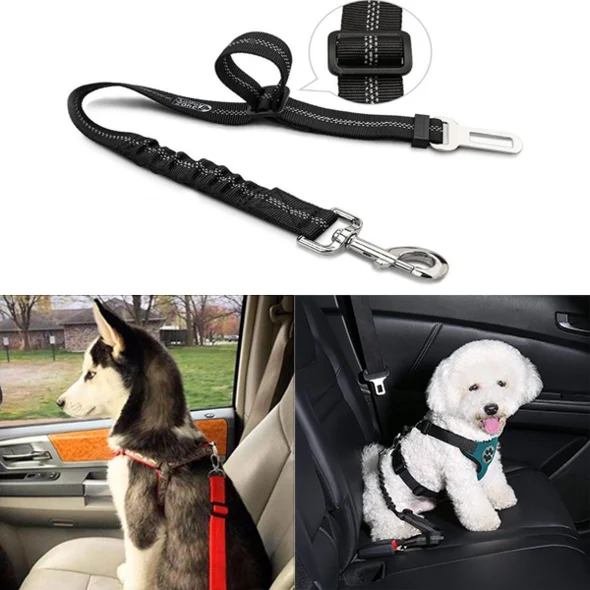 Direct to Seatbelt Dog Collar Tether - Image 2