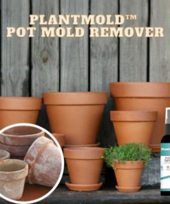 PlantMold Pot Mold Remover