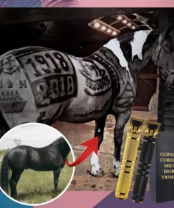 EquineSafe Horse Trimmer