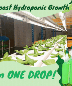 Hydroponic Vegetables Liquid Fertilizer