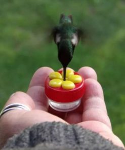 (🔥Summer Hot Sale – Save 50% OFF) Handheld Hummingbird Feeder