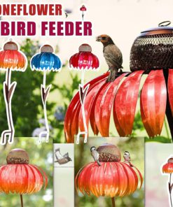 Sensation Coneflower Bird Feeder