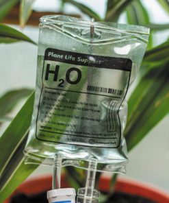 Plant Life Support Drip
