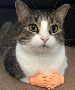 Funny Little Finger Latex Gloves Cat Massage Tool Toy