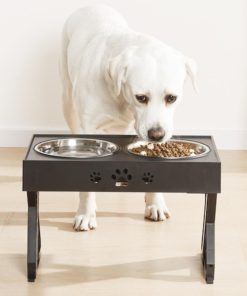 Modern Standing Double Bowl