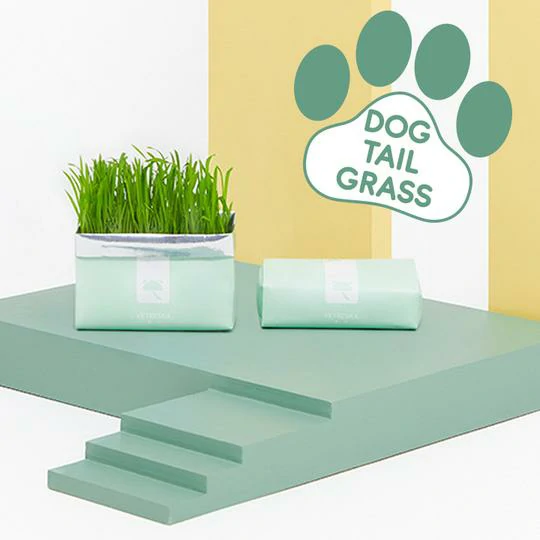 Vetreska DIY Self Grow Cat Grass