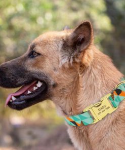 Personalized Dog Collar