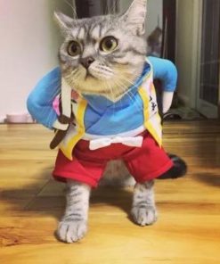 PAWSHION CAT CLOTHES