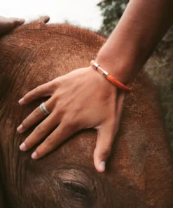 Alternative view of ❤️Follow Your Legend Elephant Bracelet❤️