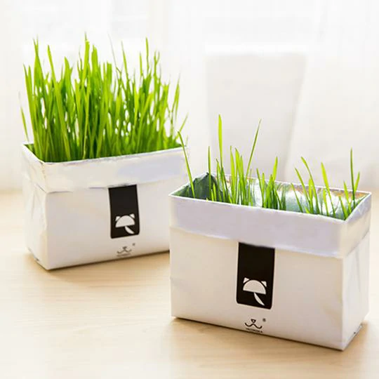 Vetreska DIY Self Grow Cat Grass