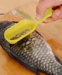 Alternative view of Fish Scale Remover