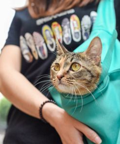 Pet Cat Carrier Pouch
