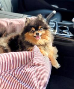 Dog Car Seat Inclination Safety Belt