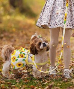 Summer Dog Romper Set