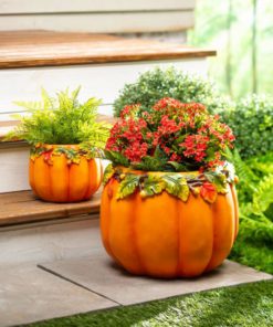 Halloween Promotion – Pumpkin Planters