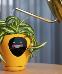 Flora - The smart planter with emotions