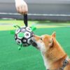 Dog Interactive Football Training Toy
