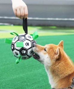 Dog Interactive Football Training Toy
