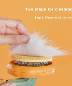 Pumpkin Pet Brush for Shedding Cat