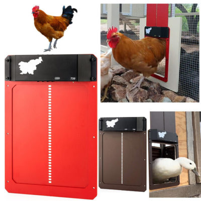 (🎄Early Christmas Sale🎄- 60% OFF)-Poultry Farm Automatic Chicken House Door