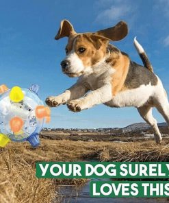 💥BUY 2 GET 1 Free💥JUMPING ACTIVATION BALL FOR DOGS