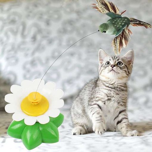 Cat Toy - Flying Hummingbird