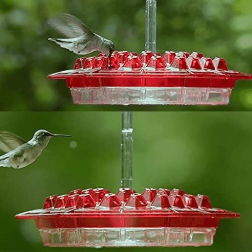 Mary's Hummingbird Feeder With Perch And Built-in Ant Moat