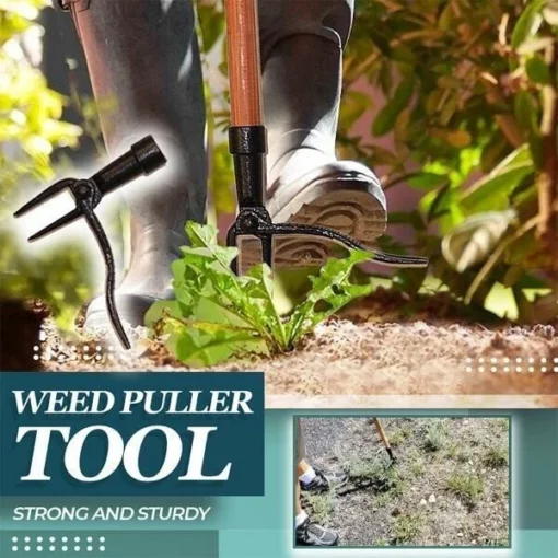 Weed Puller Tool（🔥50% OFF🔥）
