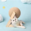 Cat Scratching Ball 🐱