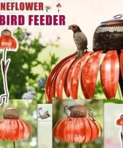 Sensation Pink Coneflower Bird Feeder