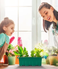 Seed Starter Trays with Grow Light