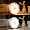 Efficient LED Motion Sensor Light