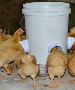 DIY Chicken Feeder