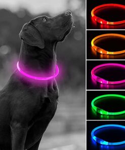 Led Dog Neck Usb Led Night Light Flashing