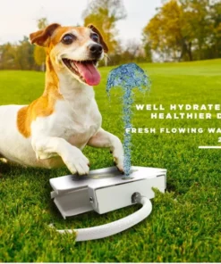 Pet treadle water dispenser