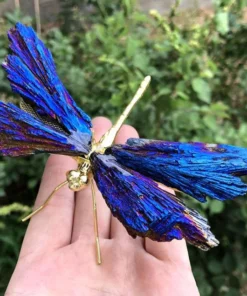 Aura Tourmaline Kyanite Dragonfly